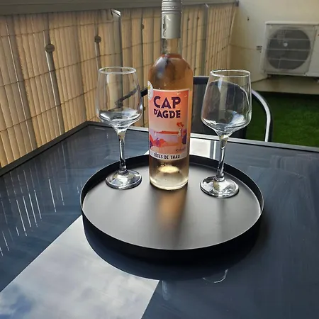 公寓 Chic Climatise Avec Vue Et Piscine A 100m Du Mole